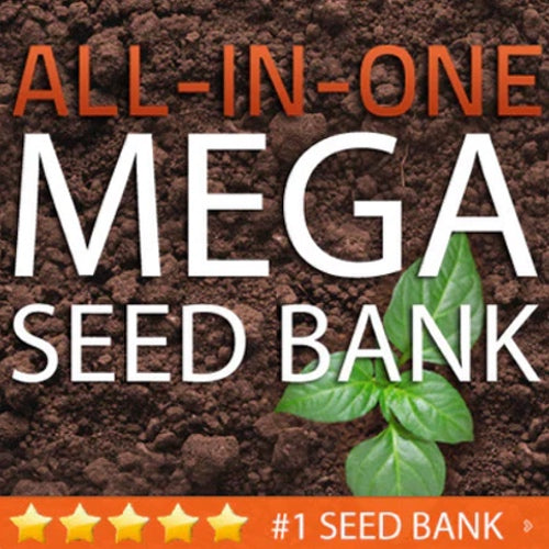 Mega Seed Bank for Survival | Large Seed Storage Vault for Emergency