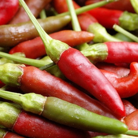 Pepper (Hot) - Bird's Eye π₯π₯π₯ - SeedsNow.com