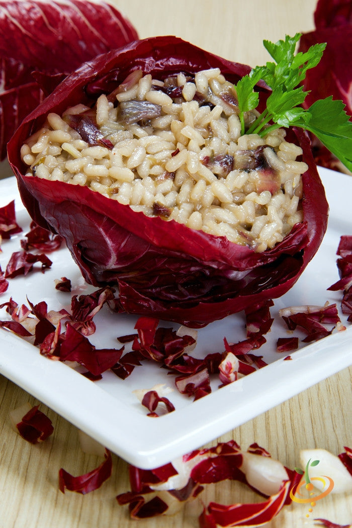 Radicchio Classic Red leaf stuffed with risotto and garnished with parsley on white plate
