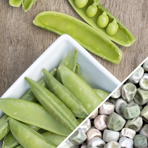 Progress No. 9 pea seeds with large green pods and shelled peas on wooden and white background