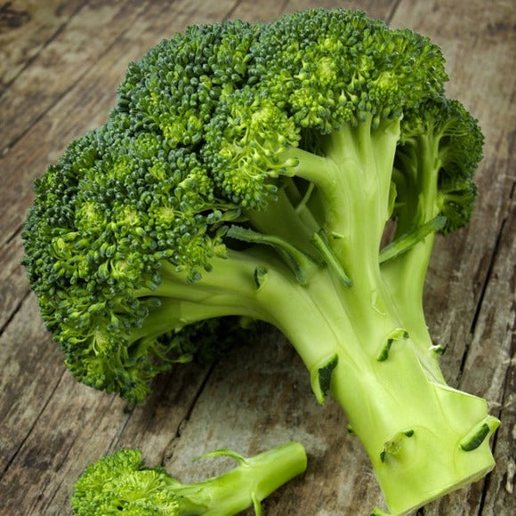 *FREE GIFT* Broccoli Di Cicco Seed Kit