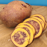Potato (Early-Season) - Jester (Organic rounds) *pre-order*