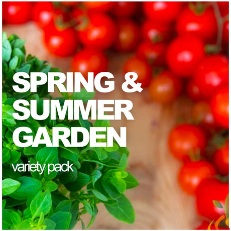 All-in-One Spring/Summer Garden Variety Pack - SeedsNow.com