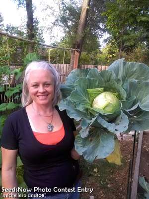 Cabbage - Drumhead.