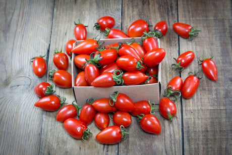 Tomato - San Marzano Seeds Close-up of fresh red San Marzano tomatoes spilling out of a small cardboard box on a wooden surface